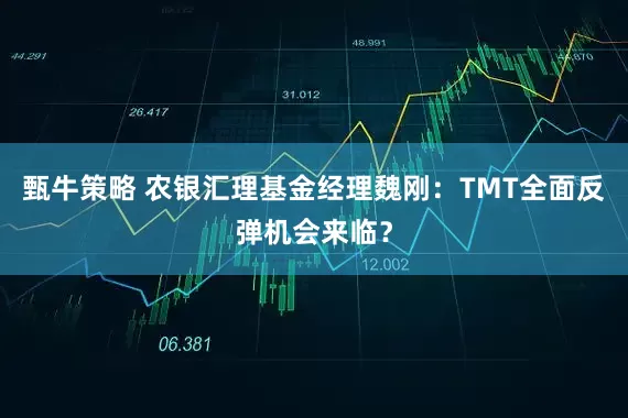 甄牛策略 农银汇理基金经理魏刚：TMT全面反弹机会来临？